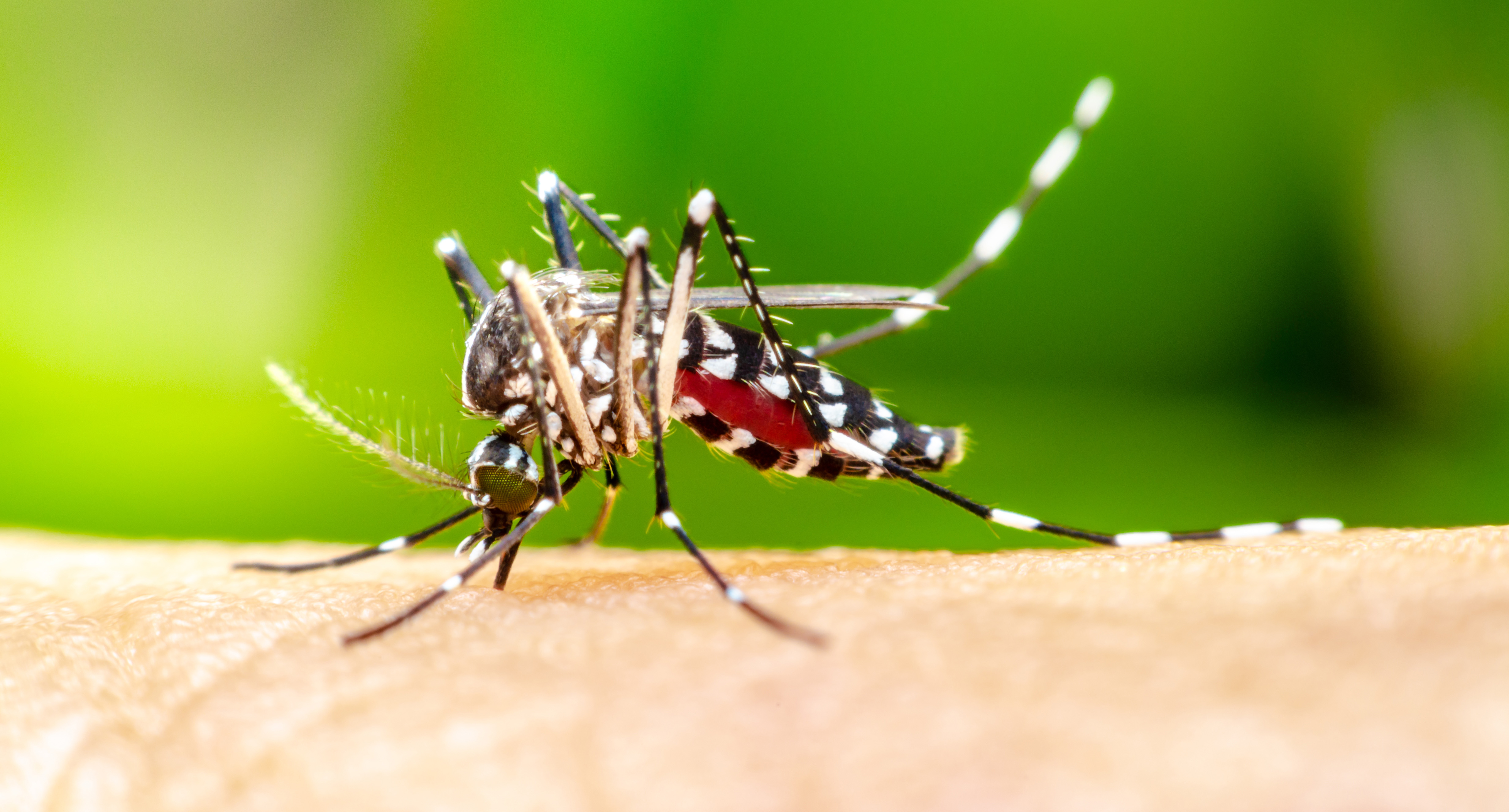 Increasing access to the Japanese encephalitis vaccine